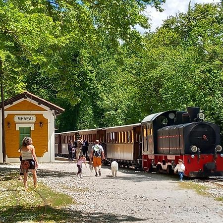 Milies Historic Chalet Pelion Μηλιές Εξωτερικό φωτογραφία