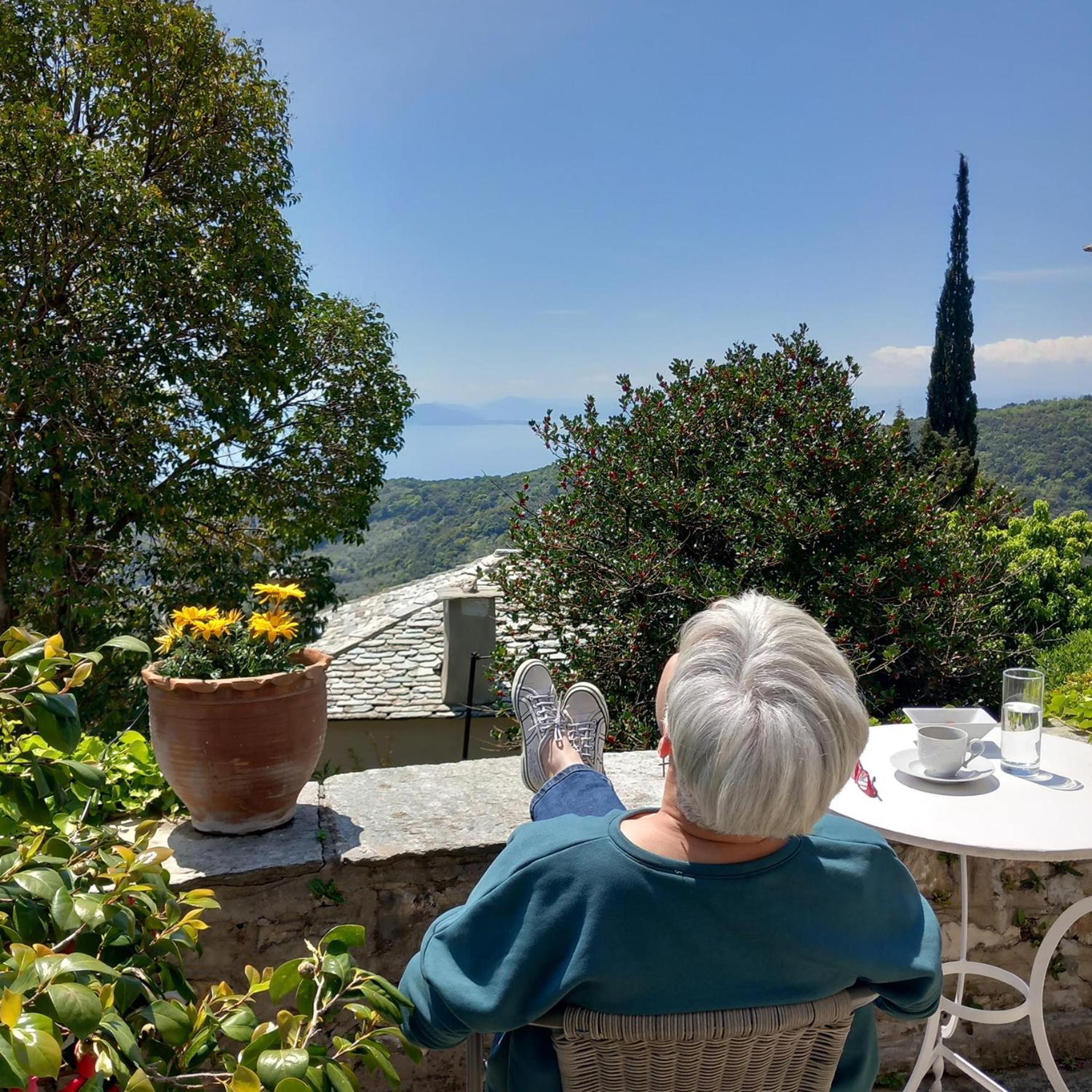 Milies Historic Chalet Pelion Μηλιές Εξωτερικό φωτογραφία