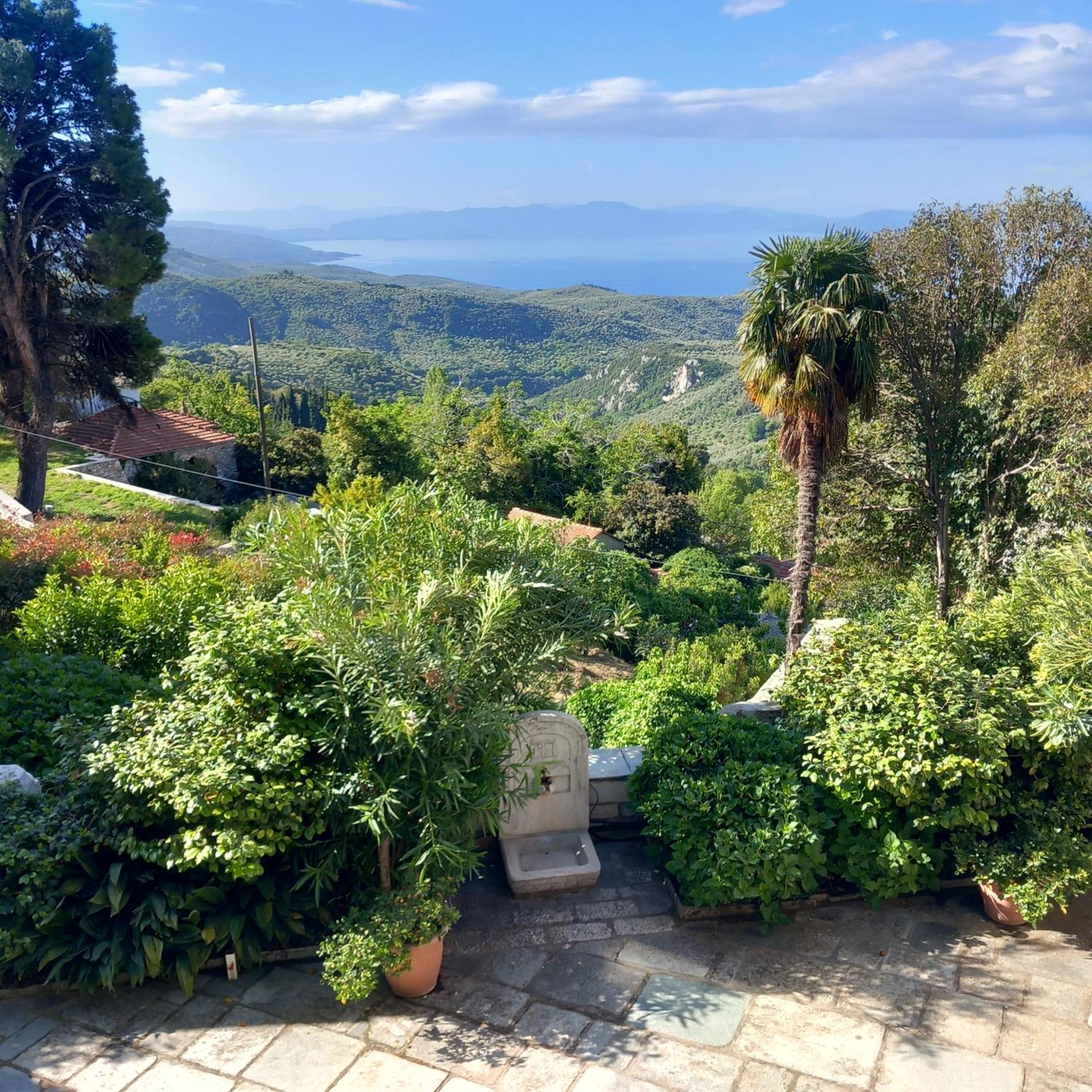 Milies Historic Chalet Pelion Μηλιές Εξωτερικό φωτογραφία