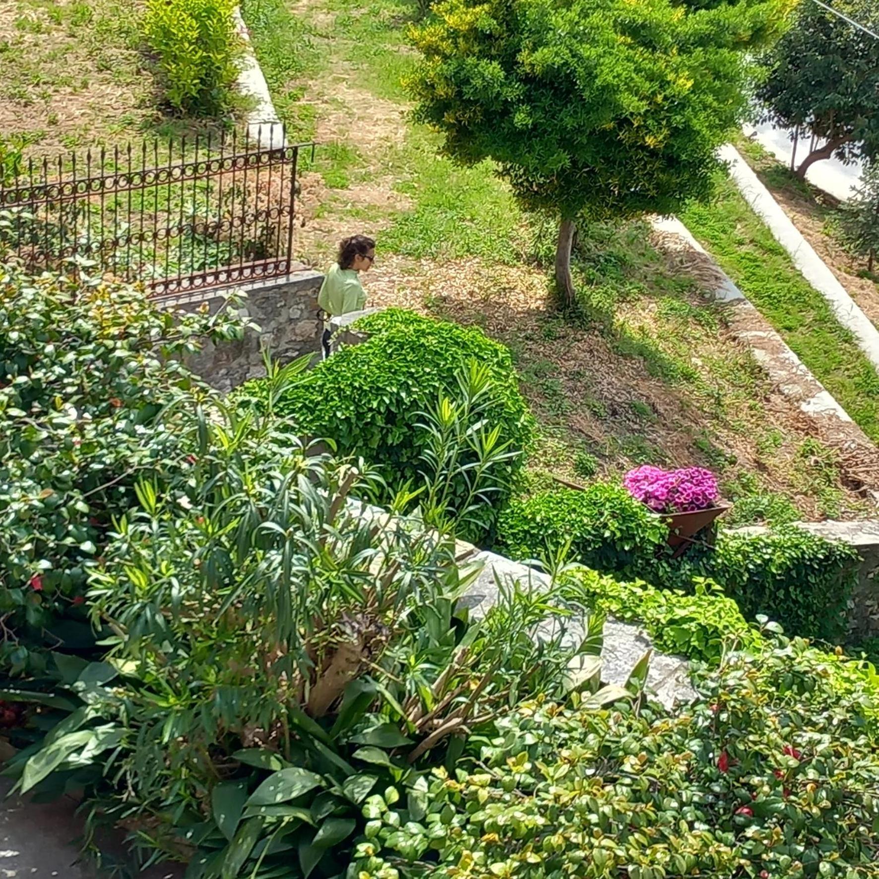 Milies Historic Chalet Pelion Μηλιές Εξωτερικό φωτογραφία