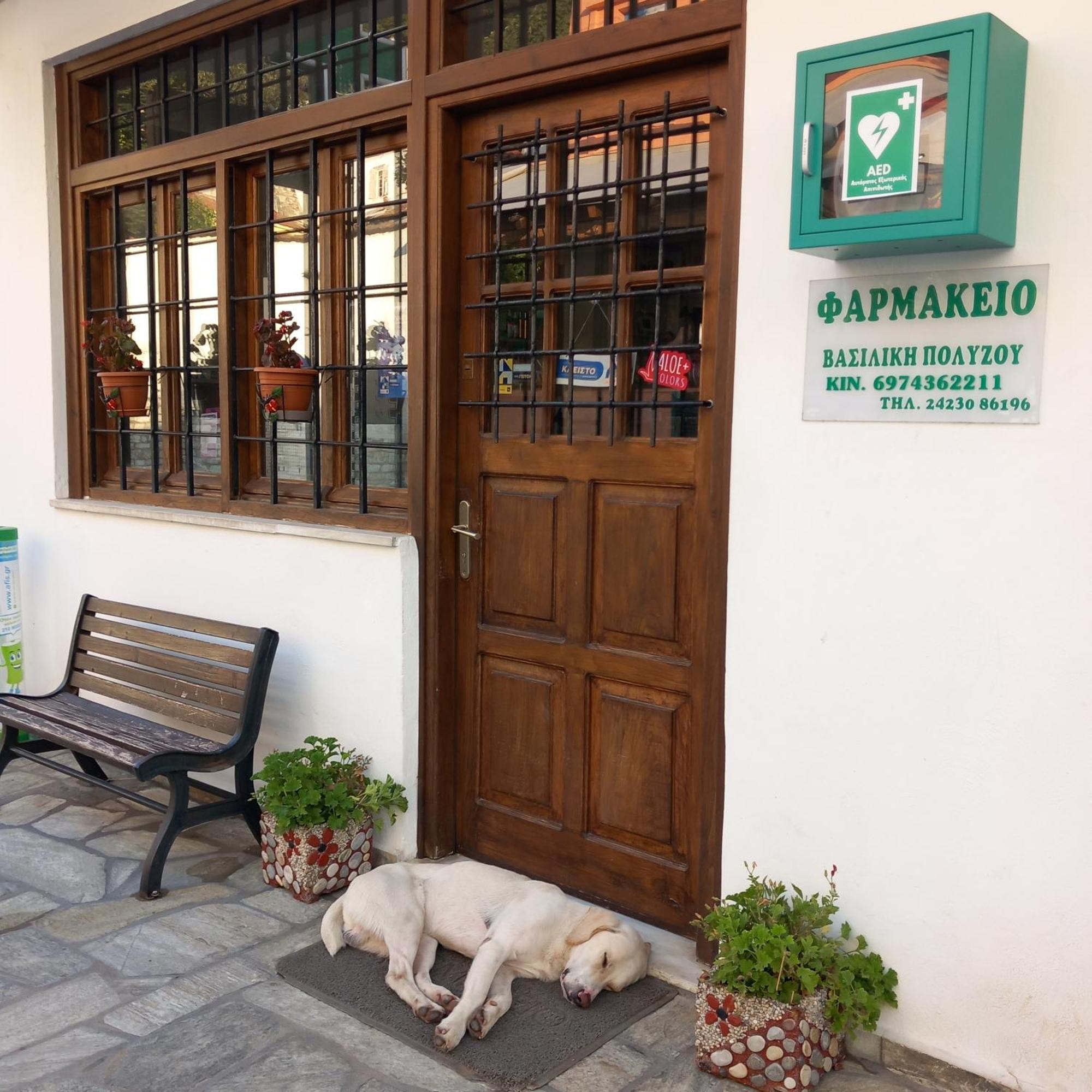 Milies Historic Chalet Pelion Μηλιές Εξωτερικό φωτογραφία