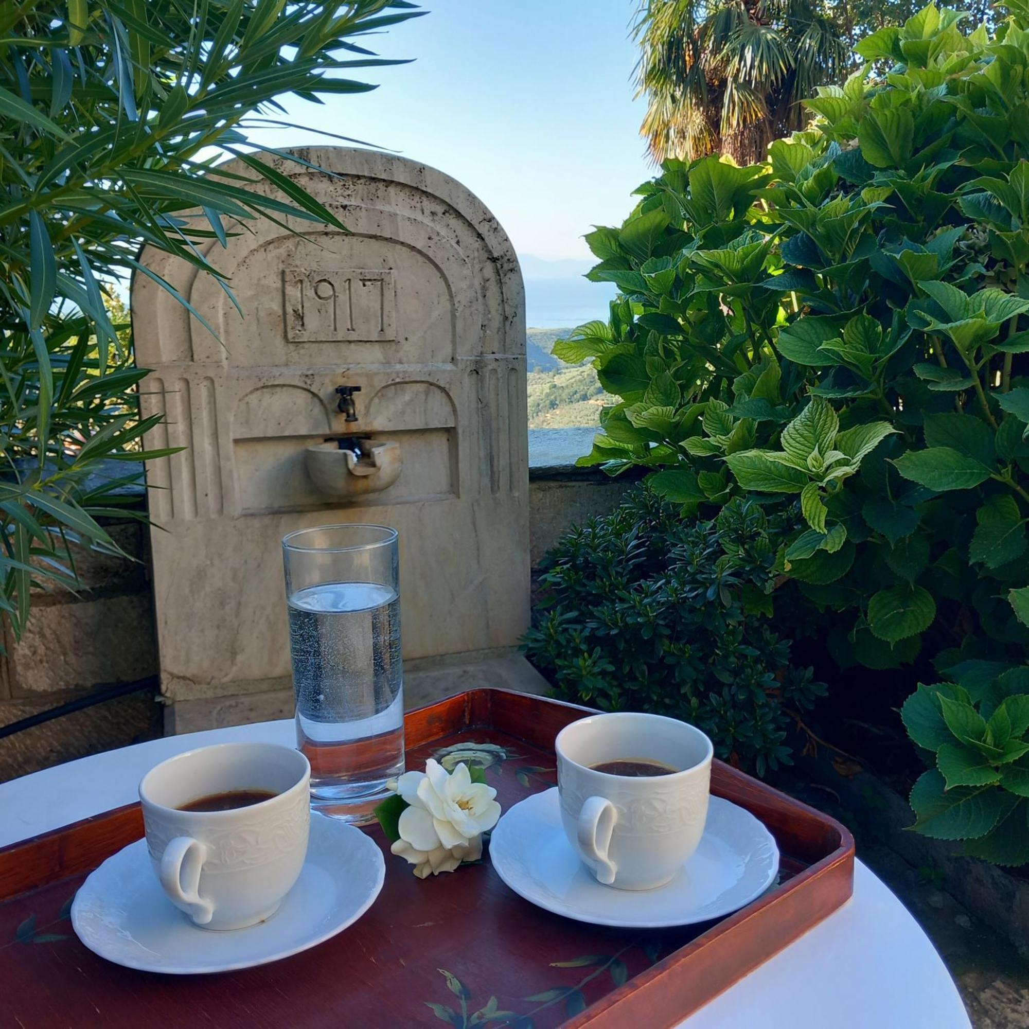 Milies Historic Chalet Pelion Μηλιές Εξωτερικό φωτογραφία