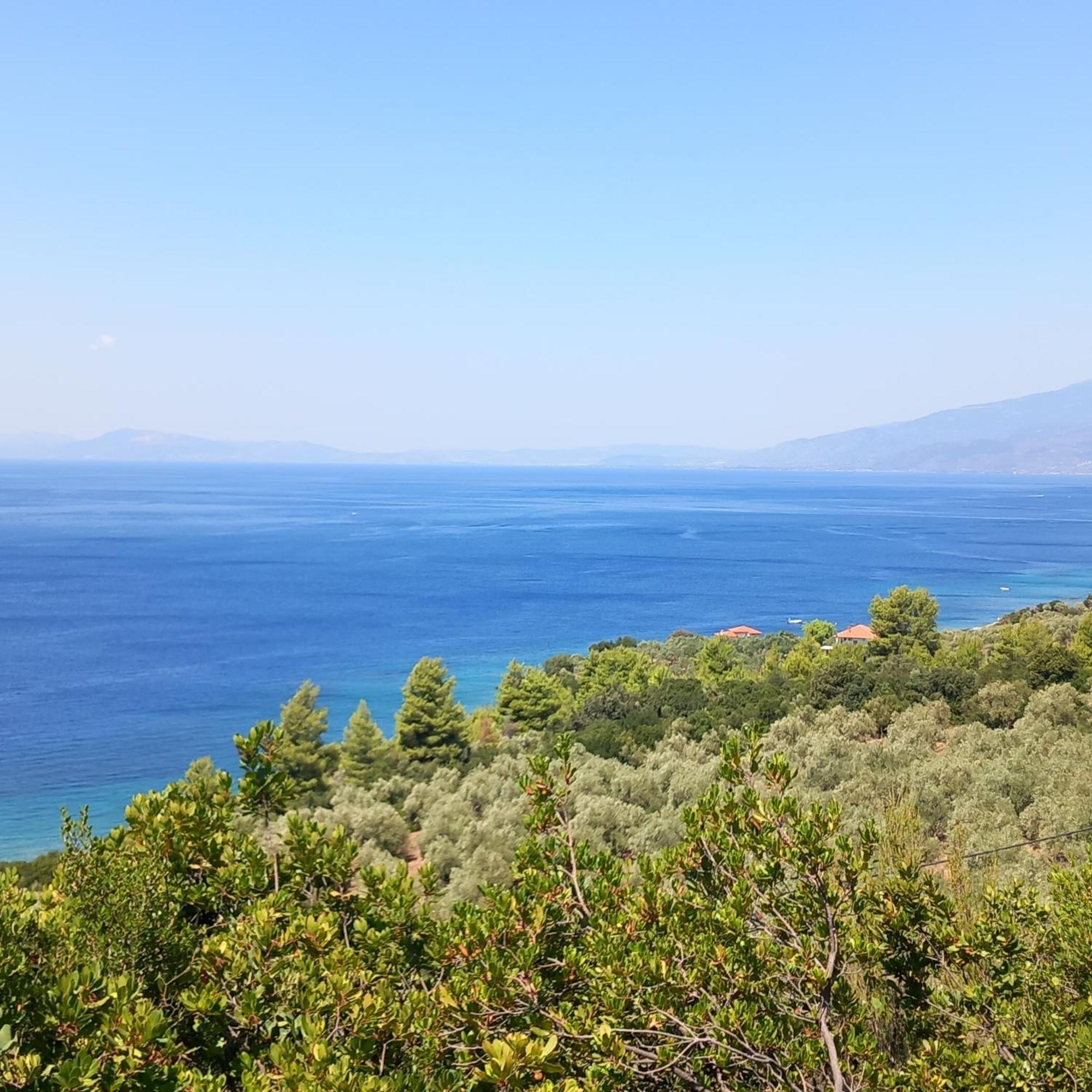 Milies Historic Chalet Pelion Μηλιές Εξωτερικό φωτογραφία