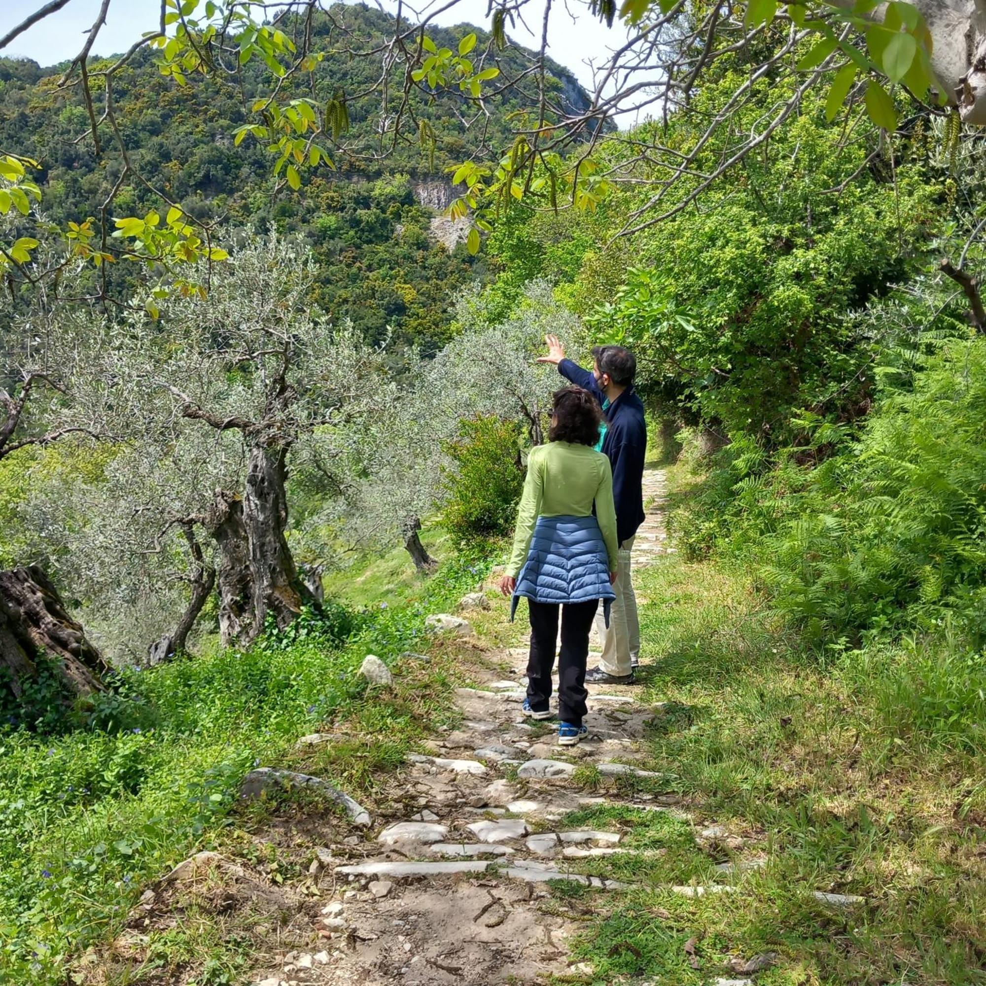 Milies Historic Chalet Pelion Μηλιές Εξωτερικό φωτογραφία