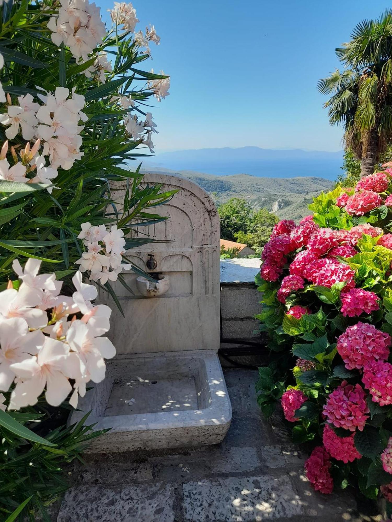 Milies Historic Chalet Pelion Μηλιές Εξωτερικό φωτογραφία