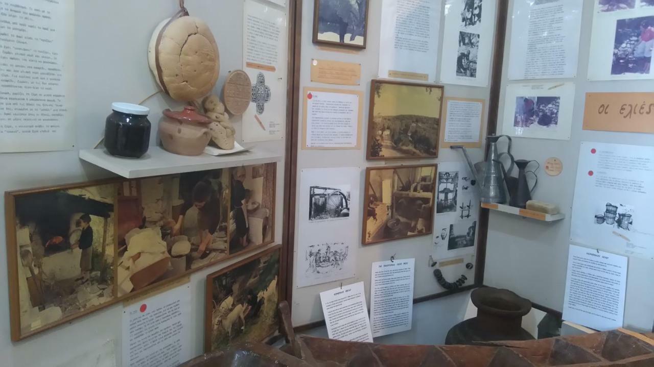 Milies Historic Chalet Pelion Μηλιές Εξωτερικό φωτογραφία