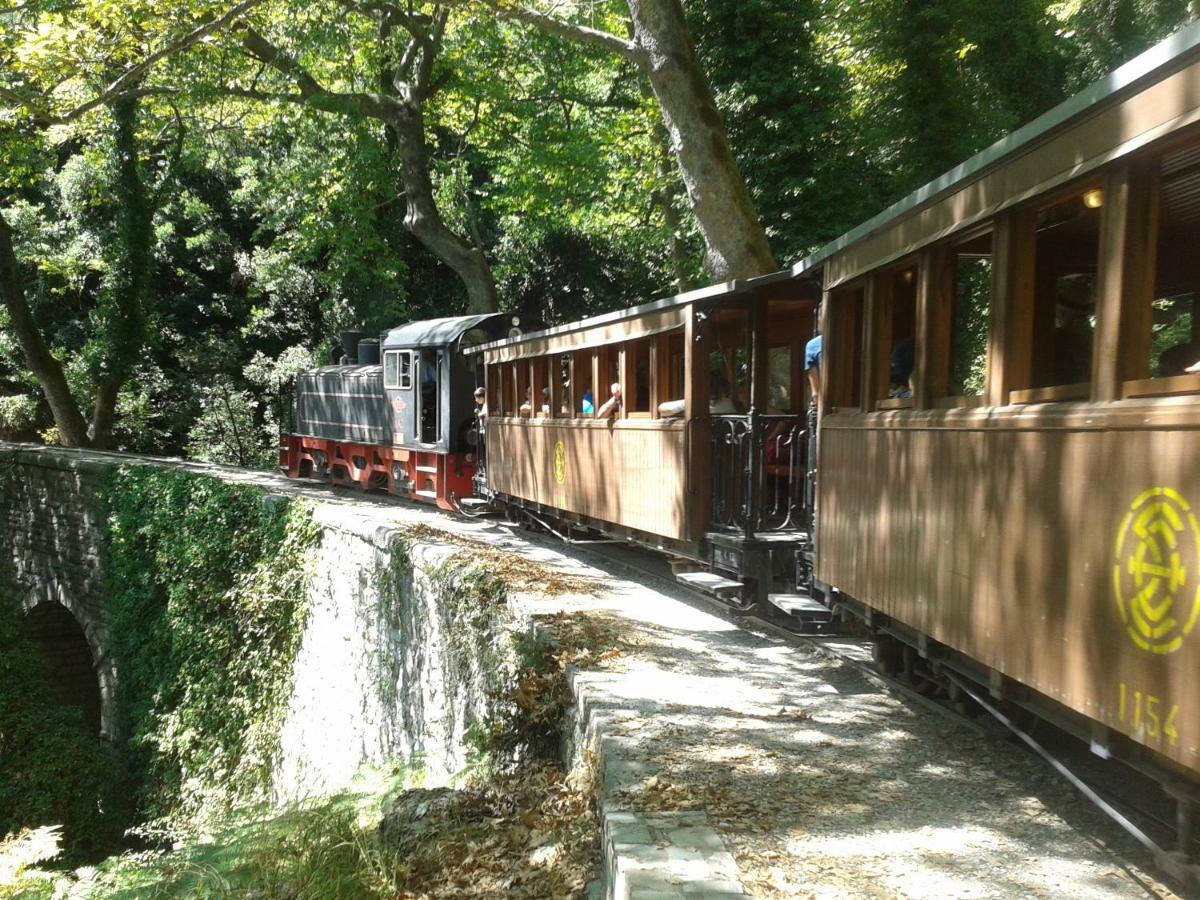 Milies Historic Chalet Pelion Μηλιές Εξωτερικό φωτογραφία