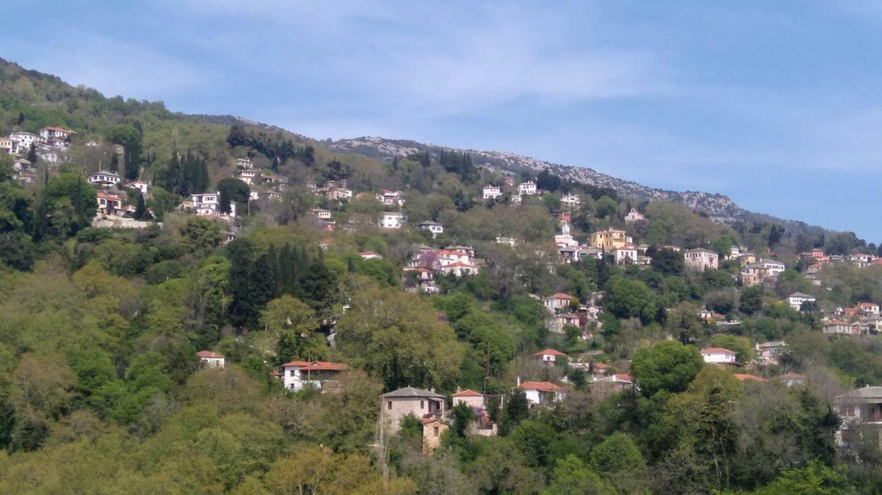 Milies Historic Chalet Pelion Μηλιές Εξωτερικό φωτογραφία