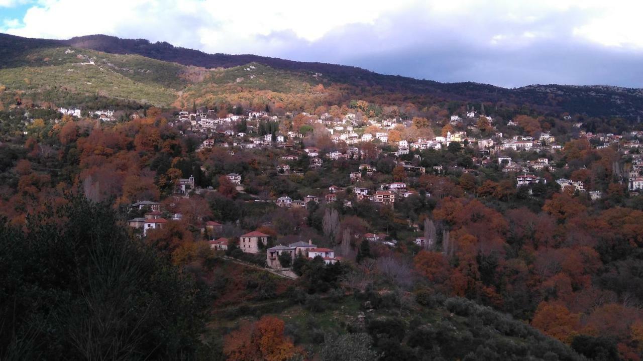 Milies Historic Chalet Pelion Μηλιές Εξωτερικό φωτογραφία